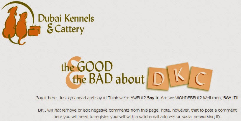 The Good And The Bad About DKC