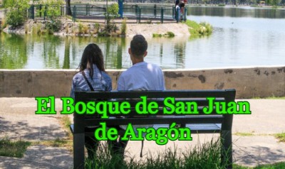 El Bosque de San Juan de Aragon