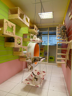 Quarto para gato Quarto para gato