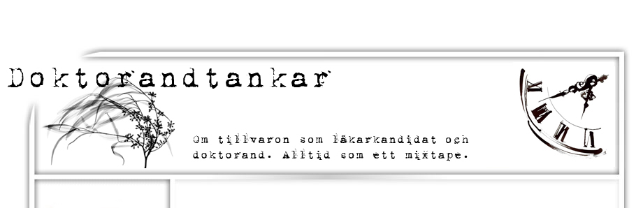 Doktorandtankar