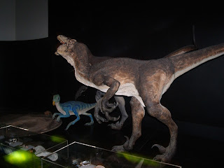 sydney museum dinosaur
