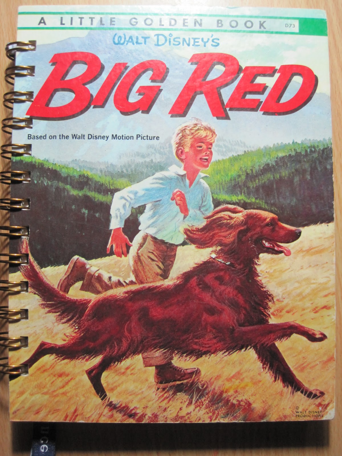  Waste Not Do Want Rebound Books = get your 2012 Diary, Journal