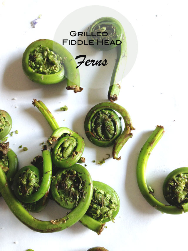 roasted fiddle head ferns| Kate Uhry Photography