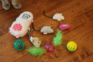 cat toys kitten toys