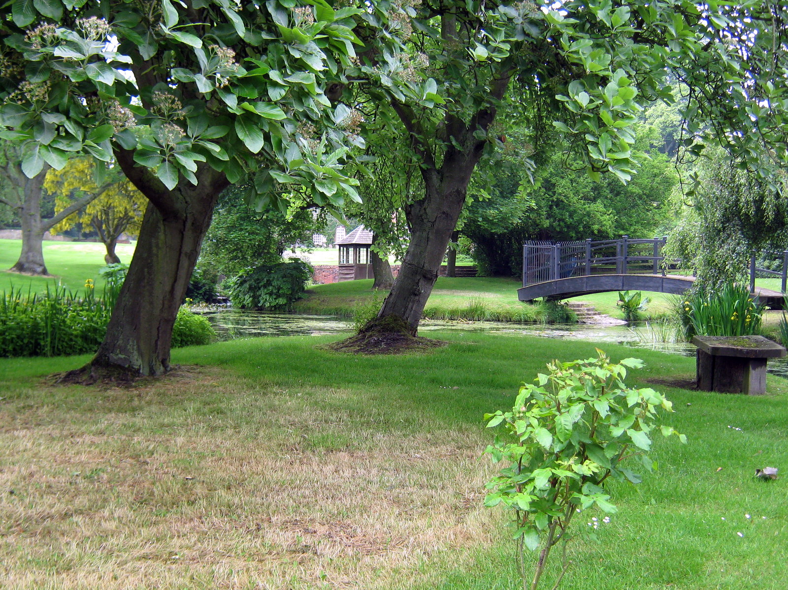 Cosby Friday Walkers Blog Friday 21st June 2013 Peatling Magna to