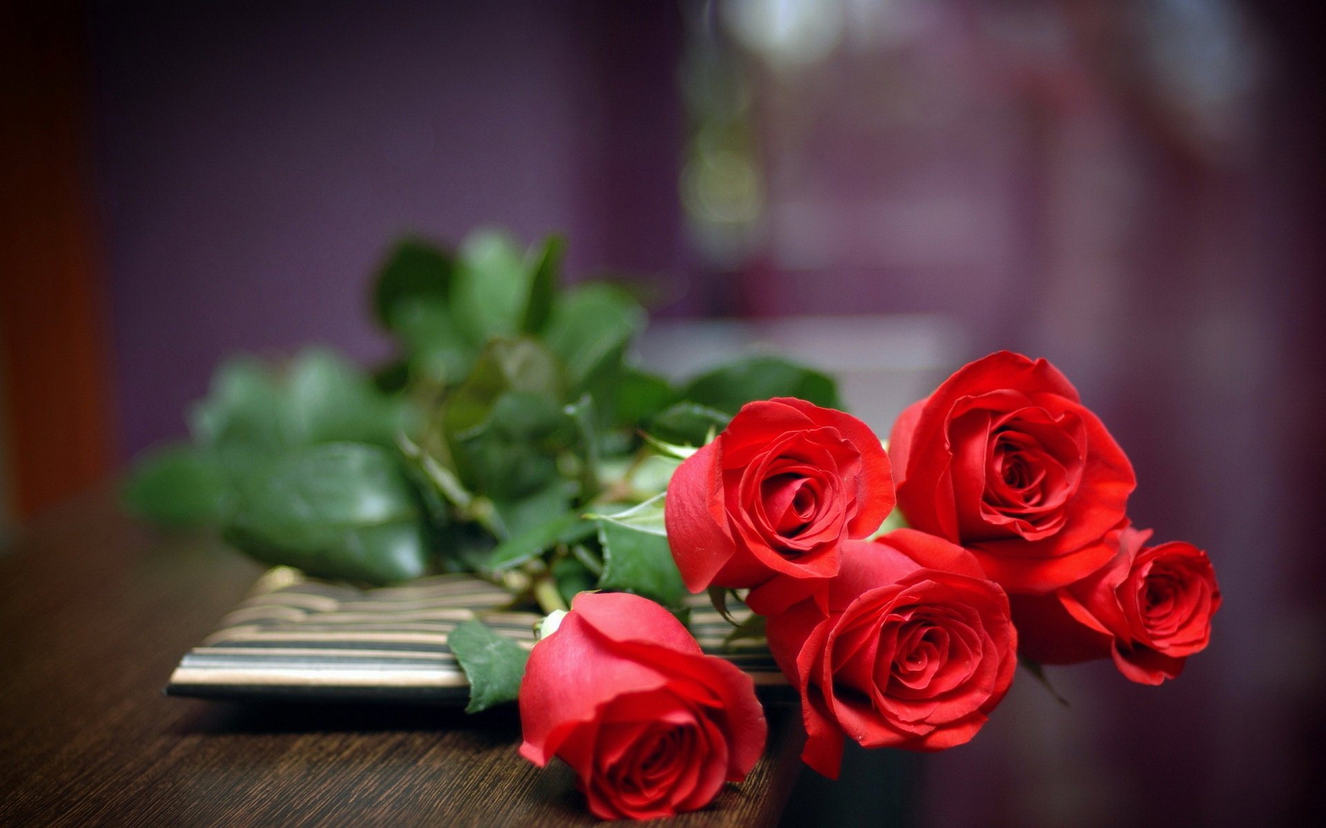 All New Wallpaper Gambar Bunga Mawar Merah Cantik 11 Gambar All New Wallpaper Gambar Bunga Mawar Merah Cantik 11 Gambar