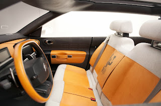 Citroen Cactus concept Citroen Cactus concept