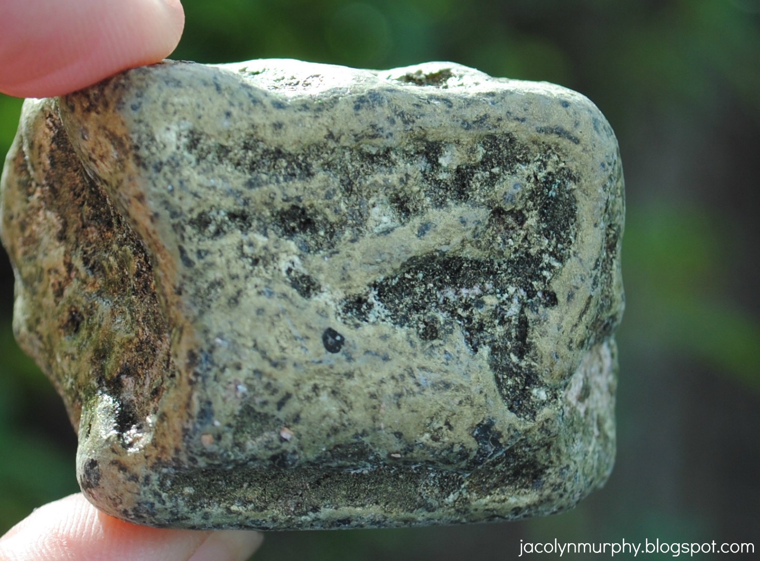 Jac o' lyn Murphy "Boulder" Party Favors