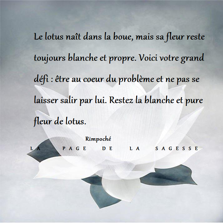 La Page de la Sagesse Citation de Rimpoché sur la La Page de la Sagesse Citation de Rimpoché sur la
