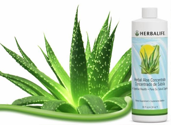 Aloe Concentrate Herbalife Aloe Concentrate Herbalife