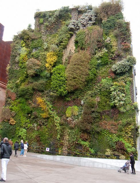 the nicest pictures vertical garden madrid spain the nicest pictures vertical garden madrid spain