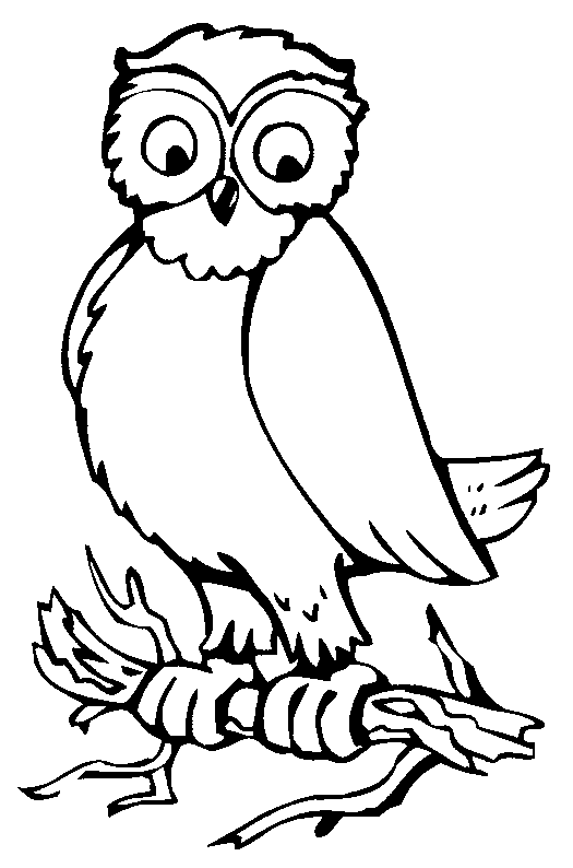 Menta Más Chocolate - RECURSOS y ACTIVIDADES PARA EDUCACIÓN INFANTIL