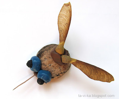    autumn nature craft insect