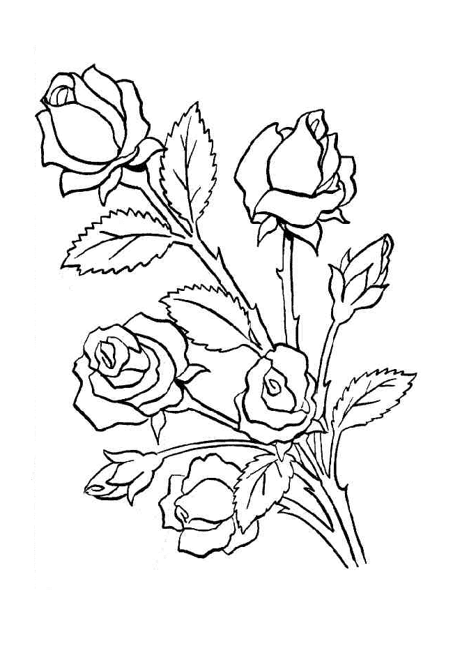 claveles y rosas para flauta Ads Cpm com