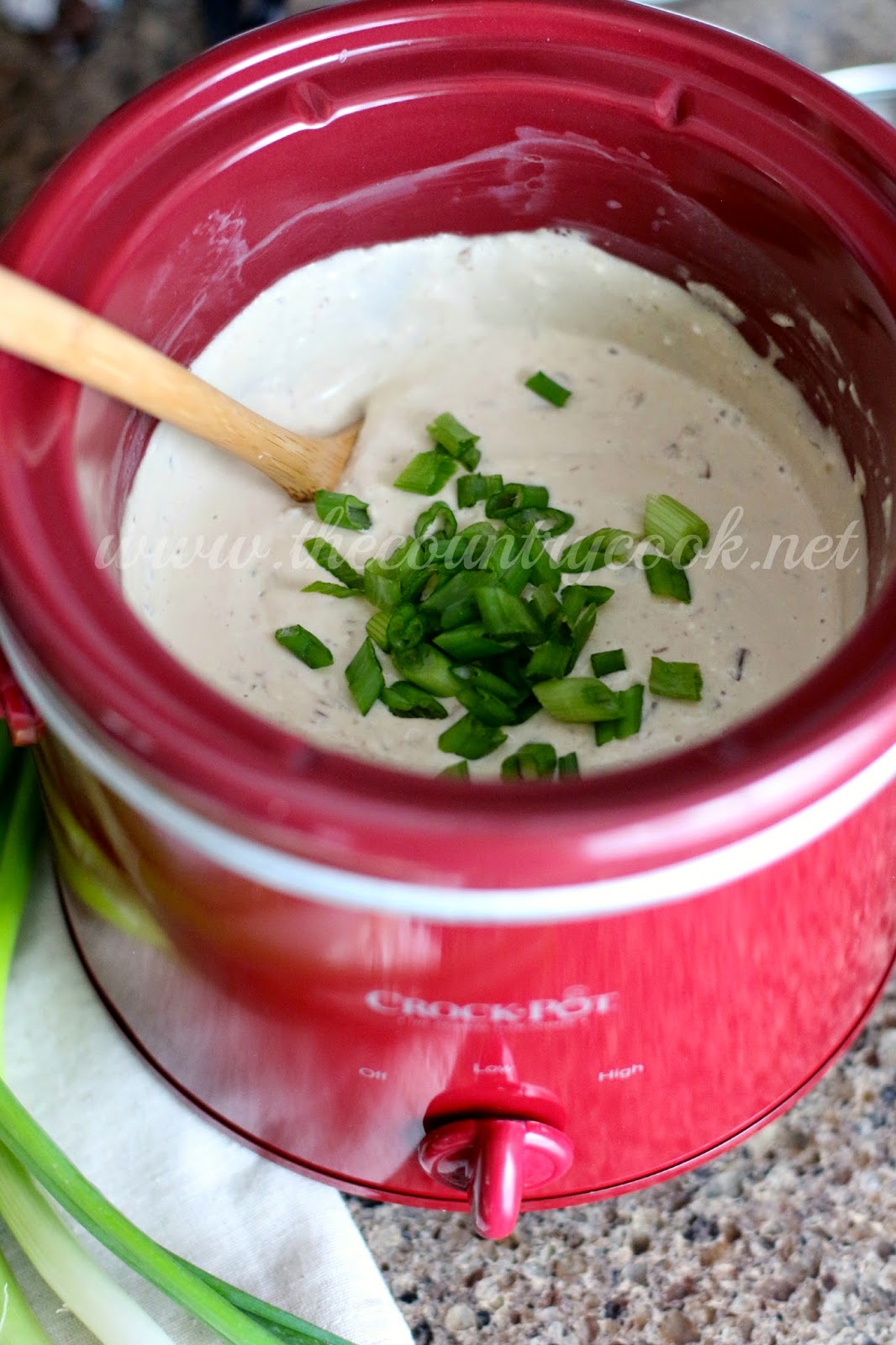 Crock Pot French Onion Dip The Country Cook