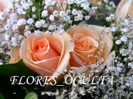 FLORES _OCULTAS