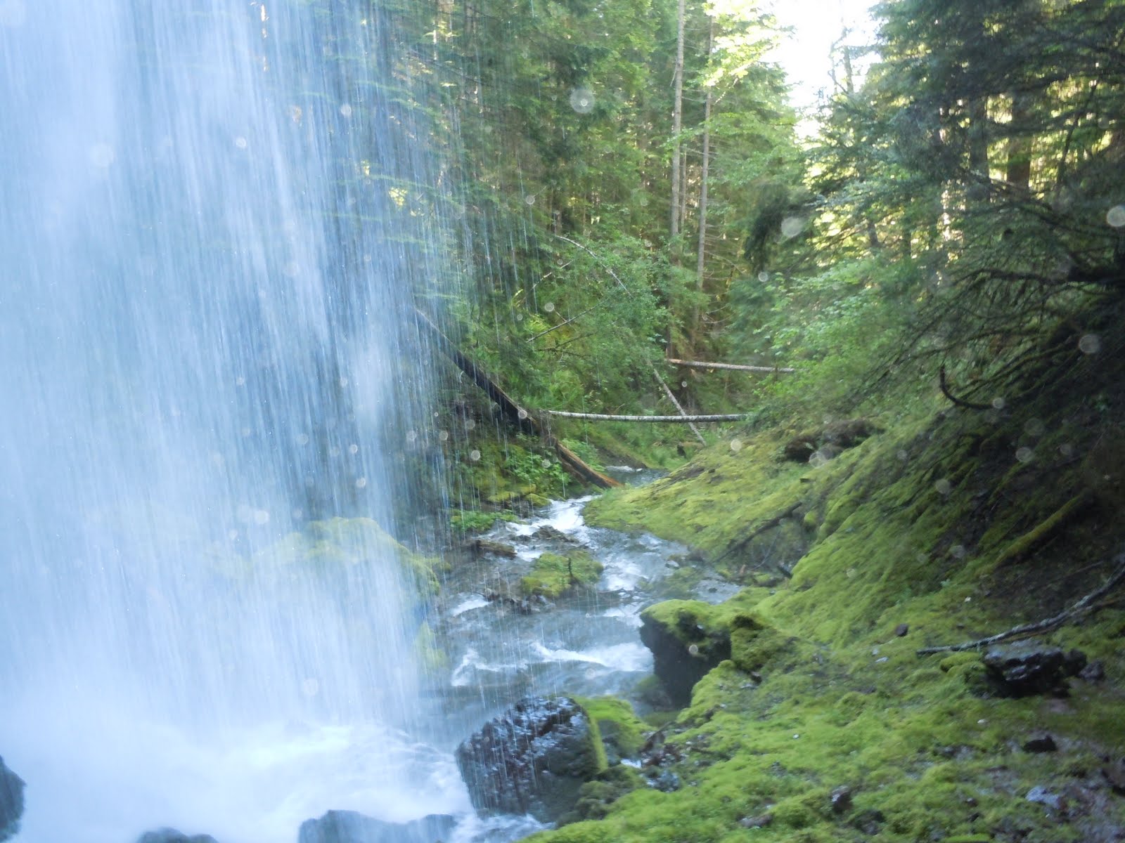 Allison's Adventure Log Iron Creek Campground