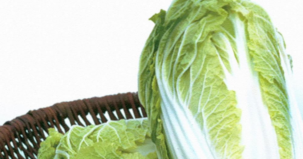 LASIK HEALTHY EYES ประโยชน์ของผักกาดขาวปลี Health Benefits of Chinese Cabbage by LASIK HEALTHY EYES
