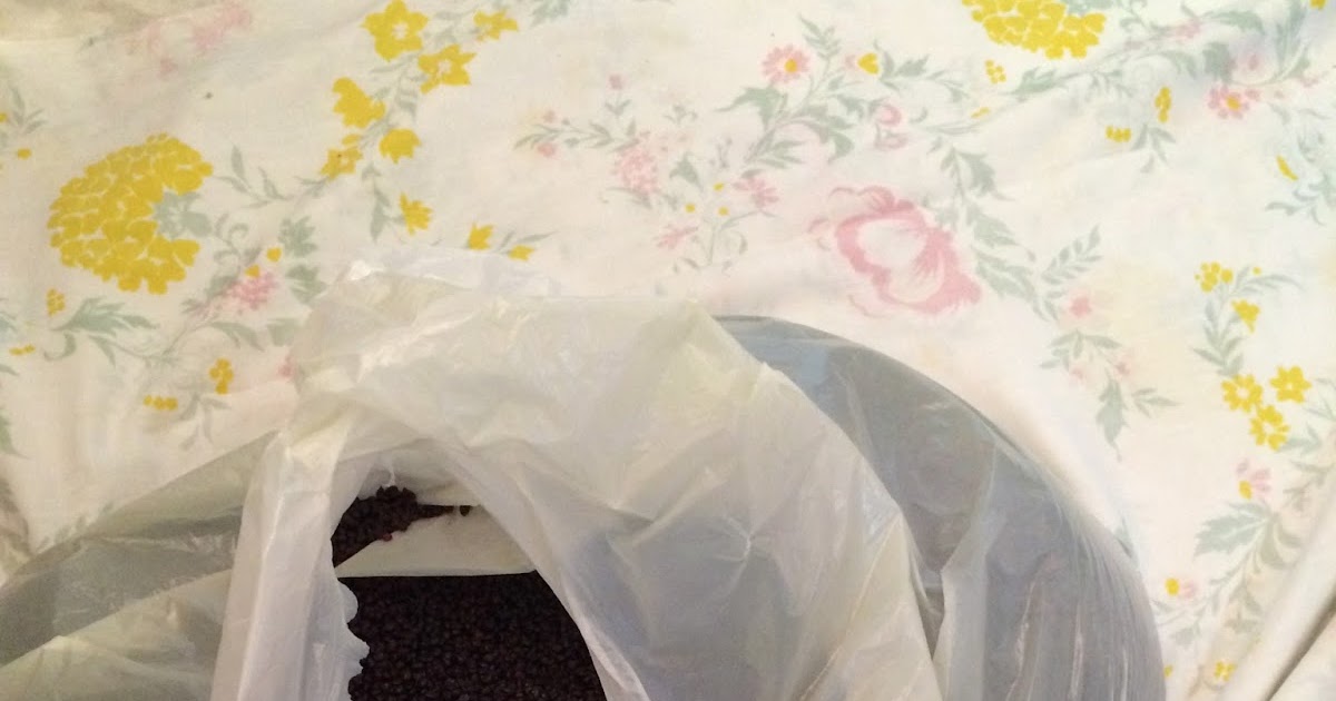 Life lessons from OT How to make your own weighted blanket (or not).