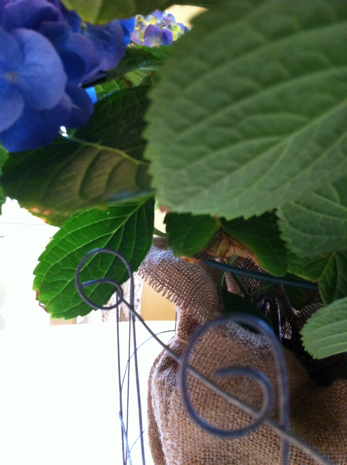 You Could Make That MAKE YOUR OWN WIRE BASKET A TUTORIAL (KIND OF)