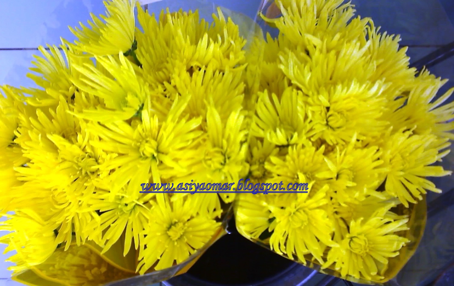 Afficher l'image d'origine