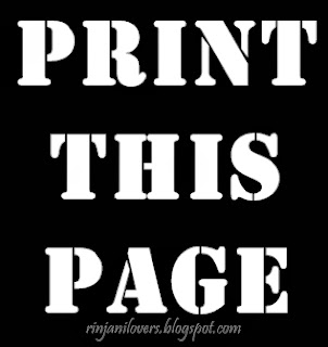 cara memasang Fasilitas Print This Page pada Blog, Fasilitas Print This Page, Print This Page Blog, Fasilitas Print This Page Blogspot