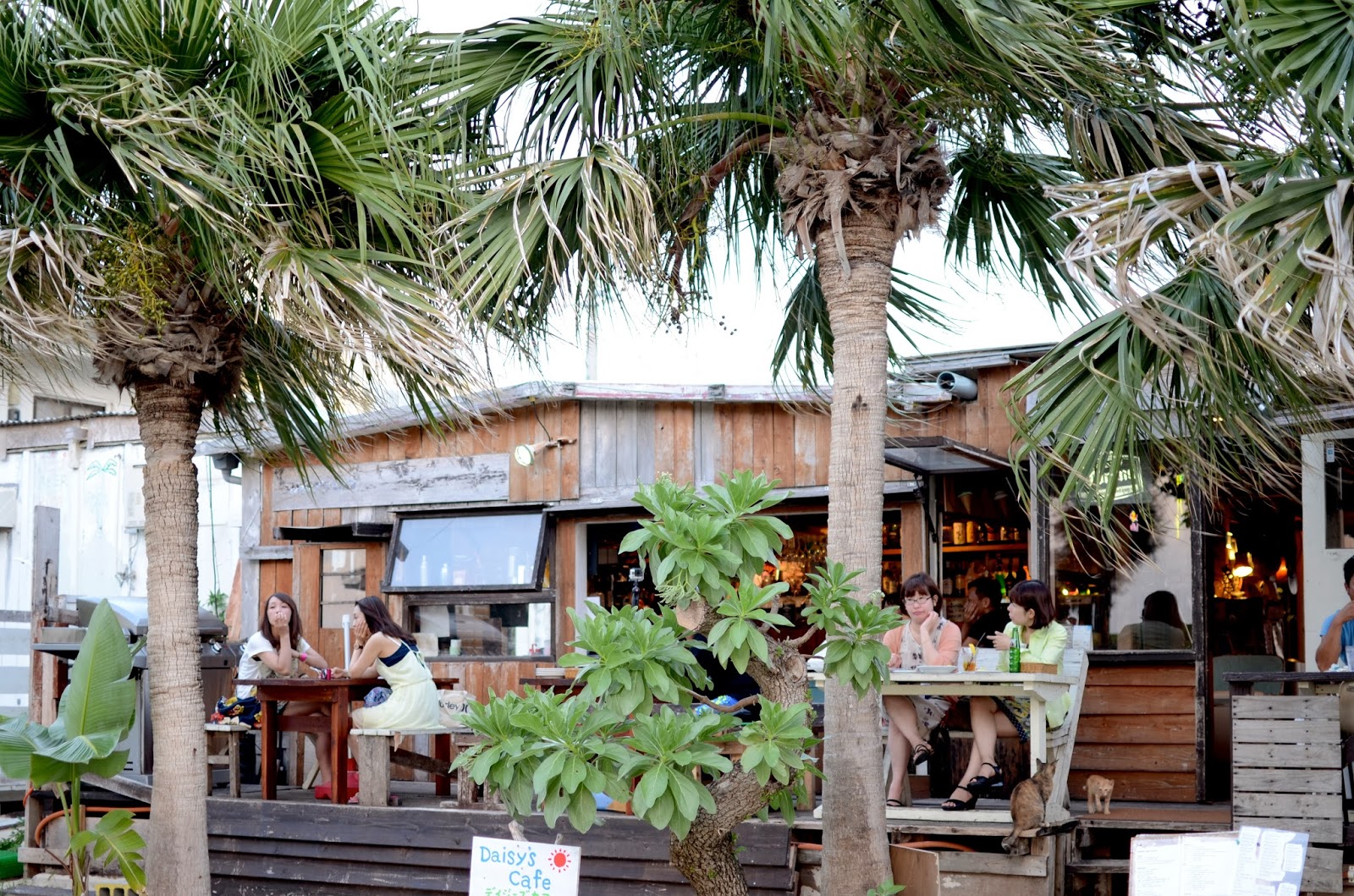 OKINAWA LIFE シーシャもあった!!夕日が見れる大好きなBar "Daisy's cafe"