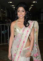 hot sexy, back less, saree, blouse,Shriya, Saran, sizzling, gorgeous  