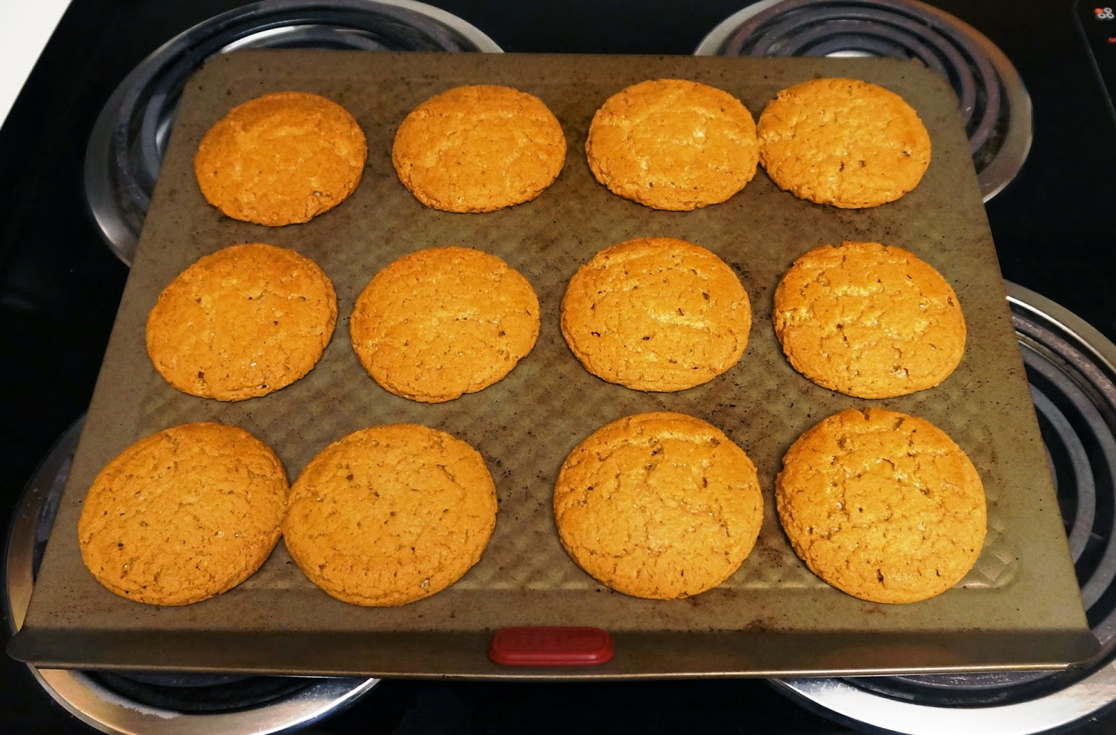 Exploring Trader Joe's Trader Joe's Gingerbread Molasses Cookie Dough