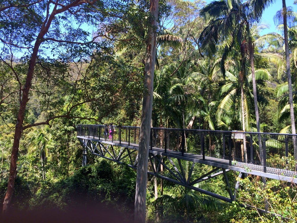 Travelholic Skywalk Tamborine Mountain, Gold Coast.
