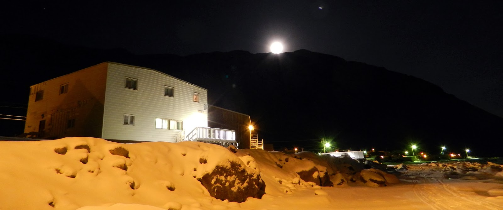Elfshot Moonlit Grise Fiord