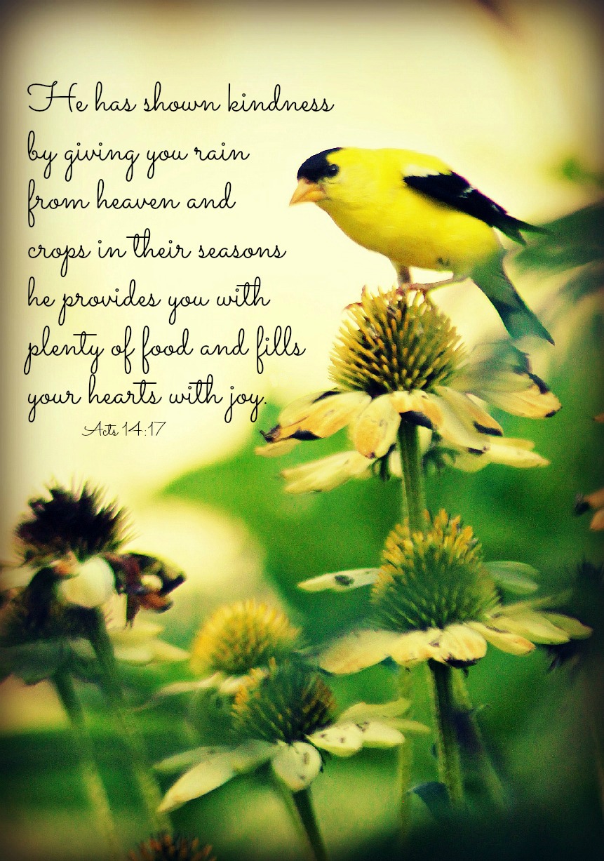 With a Grateful Prayer and a Thankful Heart kindness