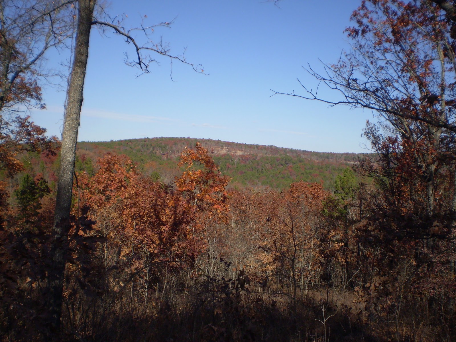 Missouri Outdoors A Young Man's Story of What Deer Hunting Means to Him