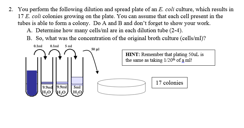 Printables Dilutions Worksheet worksheet davezan dilutions davezan