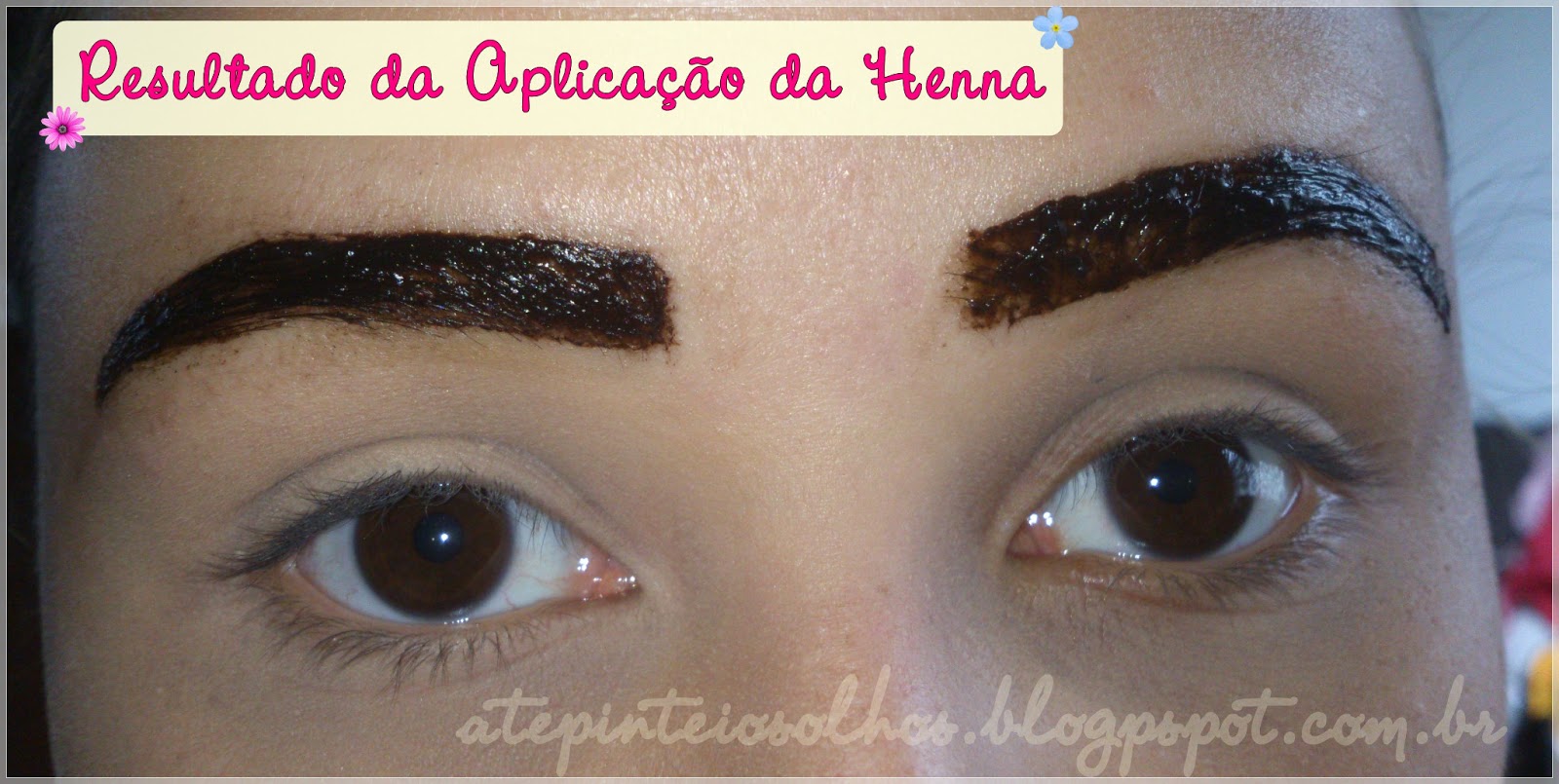 Priscilla Oliver Blog: Tutorial: Fazendo a henna em casa!