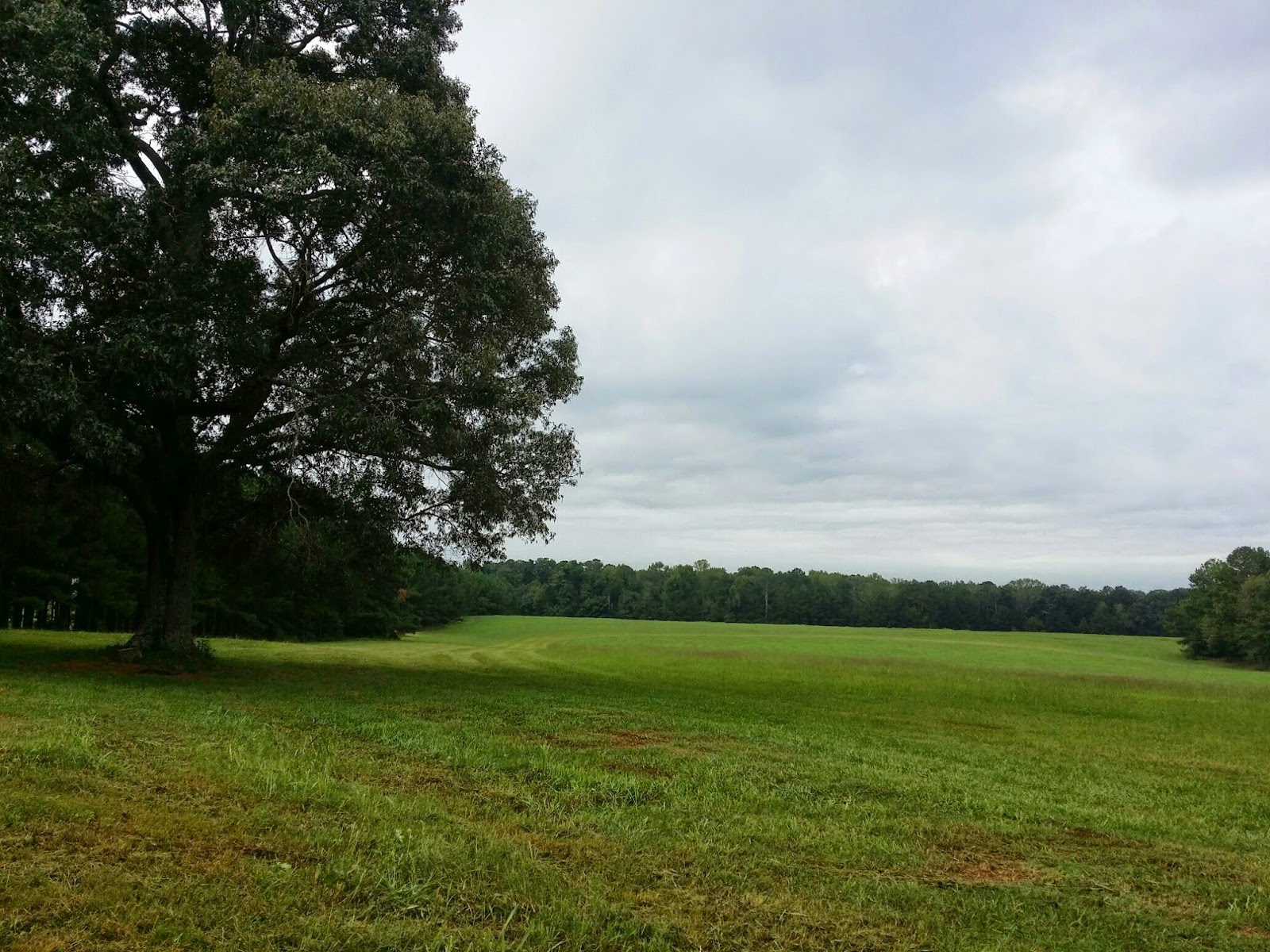 TARA DILLARD September 2014 TARA DILLARD September 2014