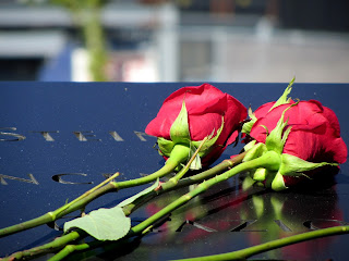 Some red roses a woman had placed on the memorial for family members she had lost.