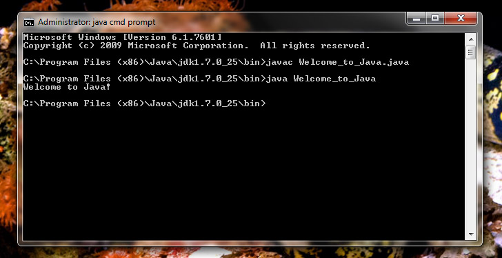 how to run a bluej program through command prompt