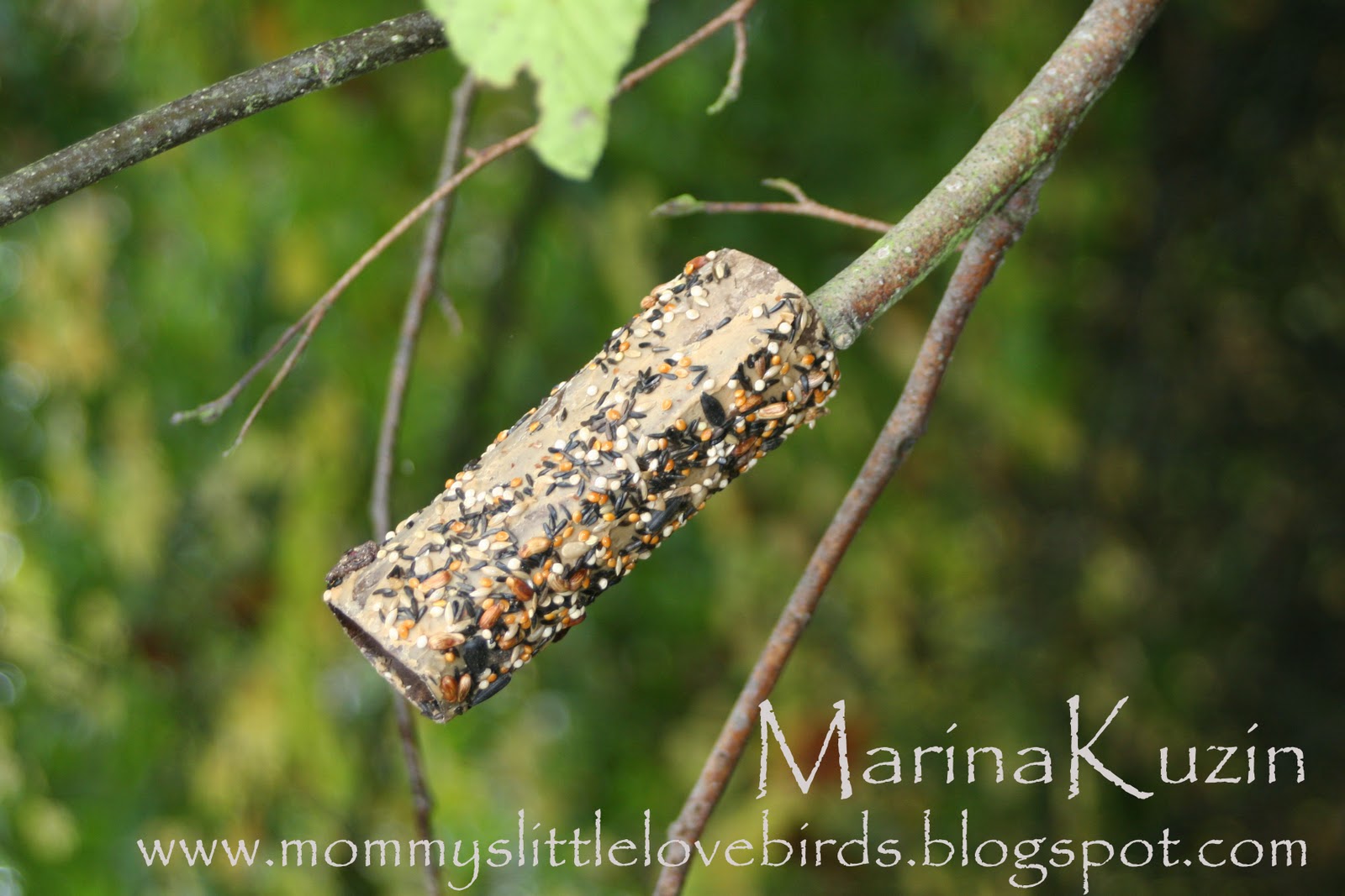 mommy's little lovebirds kids craft toilet paper roll bird feeders