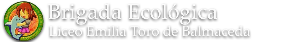 Brigada Ecológica - Liceo Emilia Toro de Balmaceda