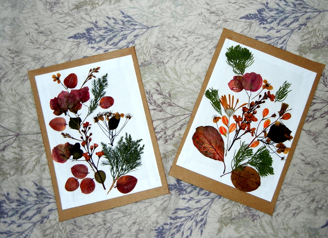 A photo, A thought............ Passion Pressedflower craft.........