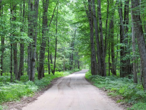 Astor Rd.