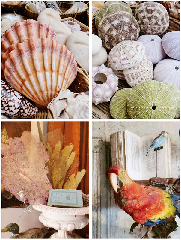 VILLA LOTTA Januar 2012