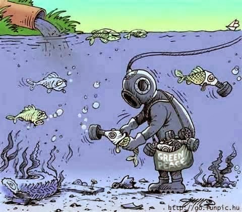 Tek kişilik gizli empatik örgüt!: 10/01/2013 - 11/01/2013