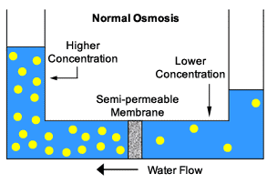 kanca dolan: REVERSE OSMOSIS .....(stiil under construction ... kanca dolan: REVERSE OSMOSIS .....(stiil under construction ...