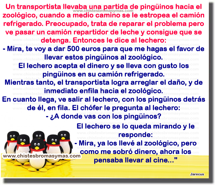  EN CLAVE DE HUMOR - Página 36 Chiste+pinguinos