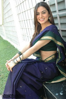 Shraddha Arya Hot Sexy  Saree  Image