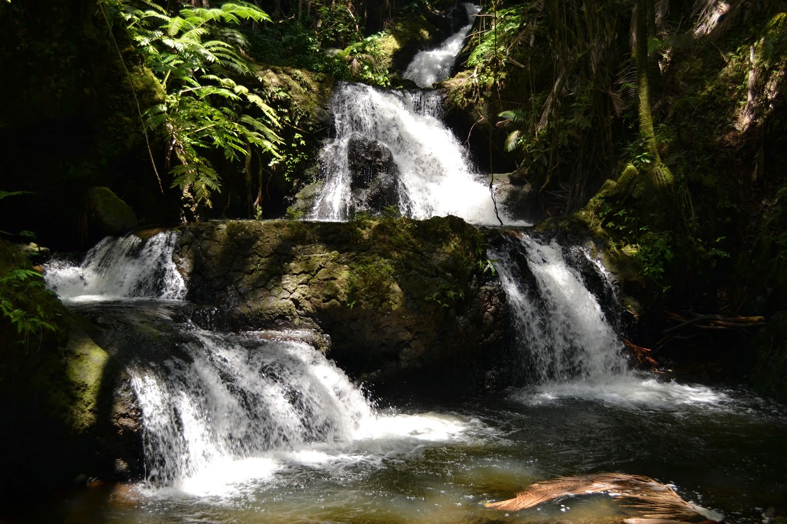 Waterfall, Hawaii Tropical Botanical Garden