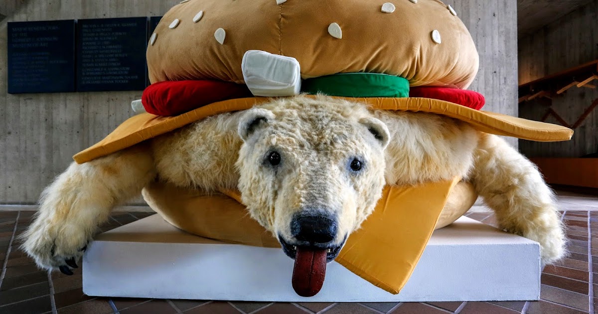 bear burger plush