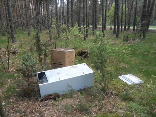 Холодильник в лесу Холодильник в лесу